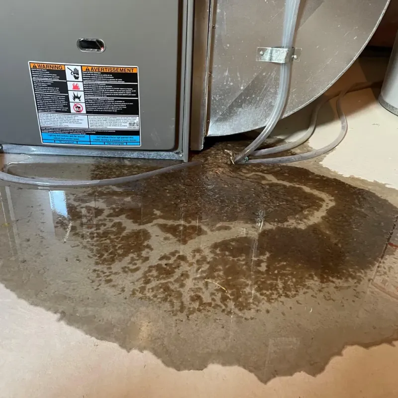 Appliance Leak Cleanup in Houma, LA